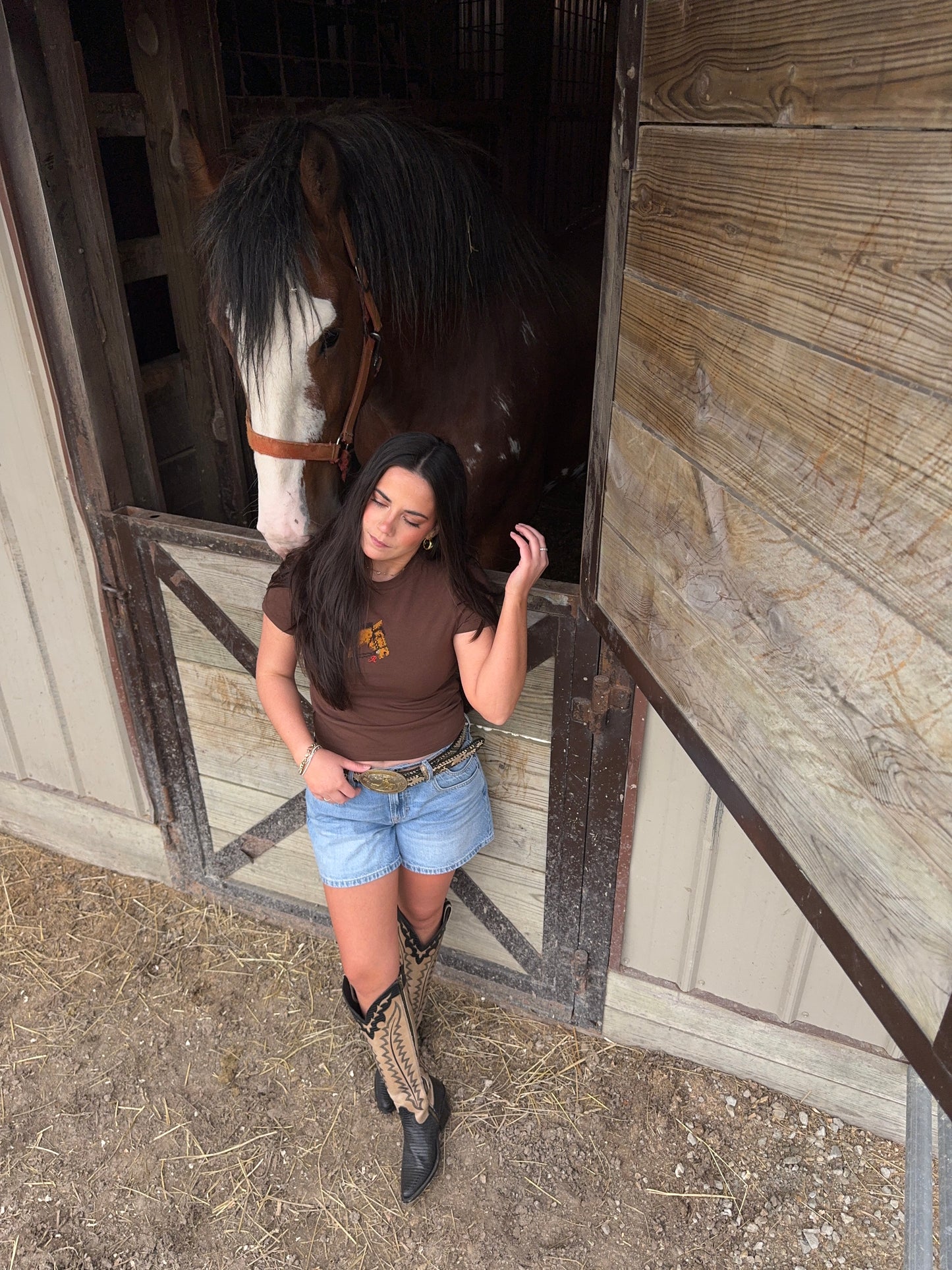 Horse Embroidered Baby Tee