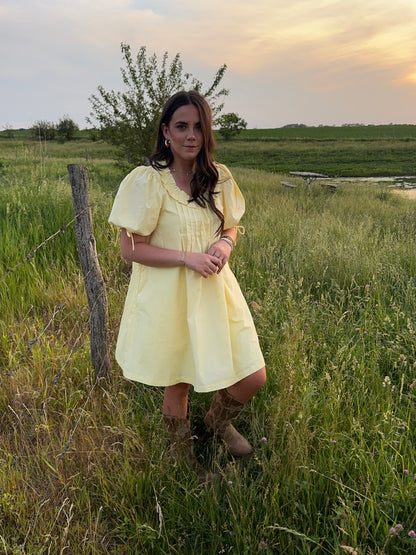 Peyton Pin-tuck Dress