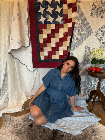 Dallas Denim Dress