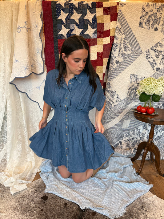 Dallas Denim Dress
