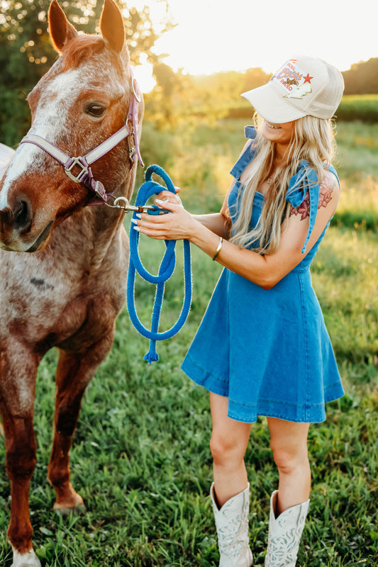 Rory Denim Dress