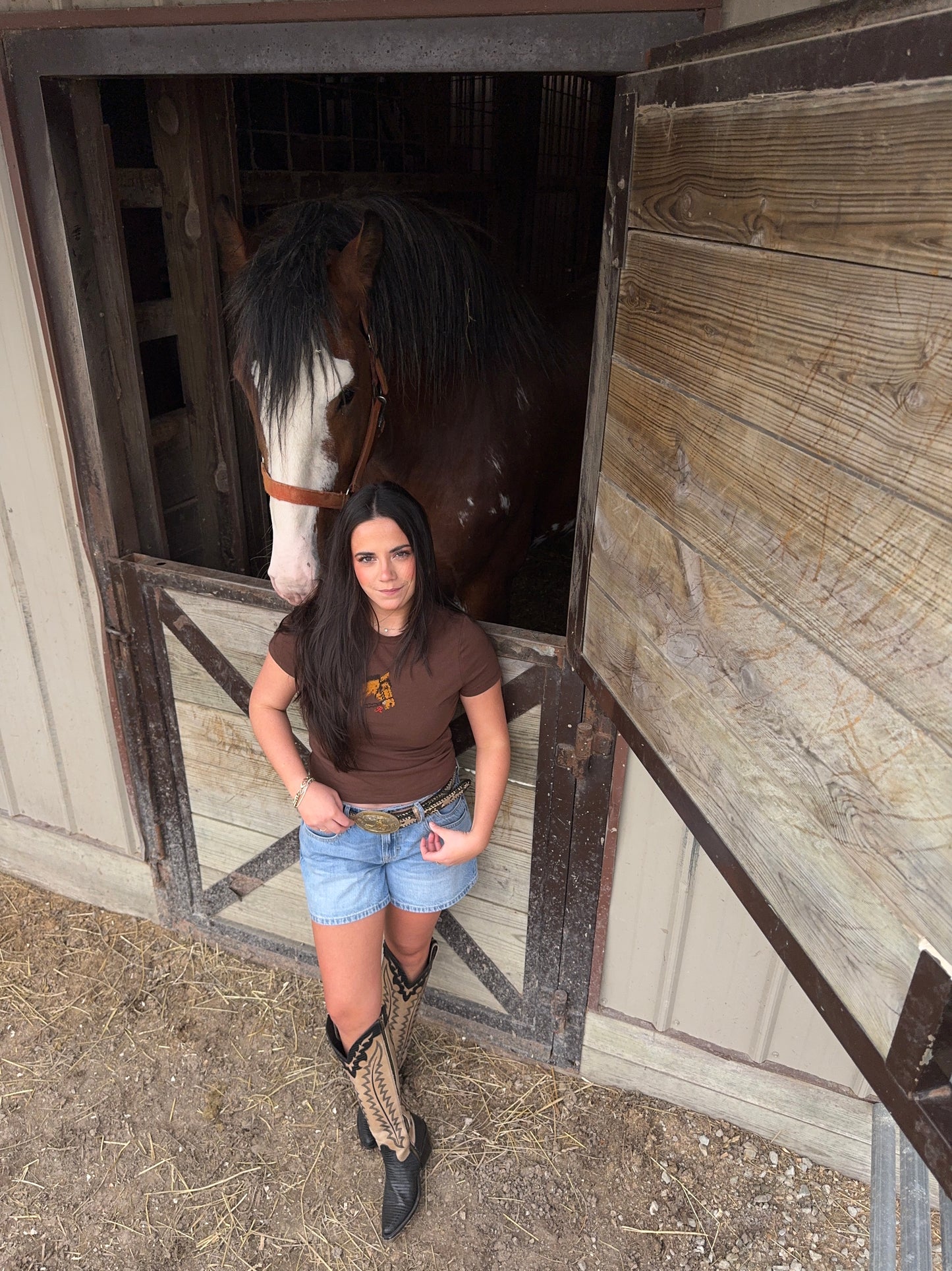 Horse Embroidered Baby Tee