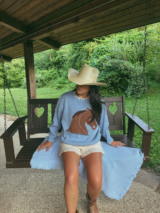 Charlie Horse Sweater