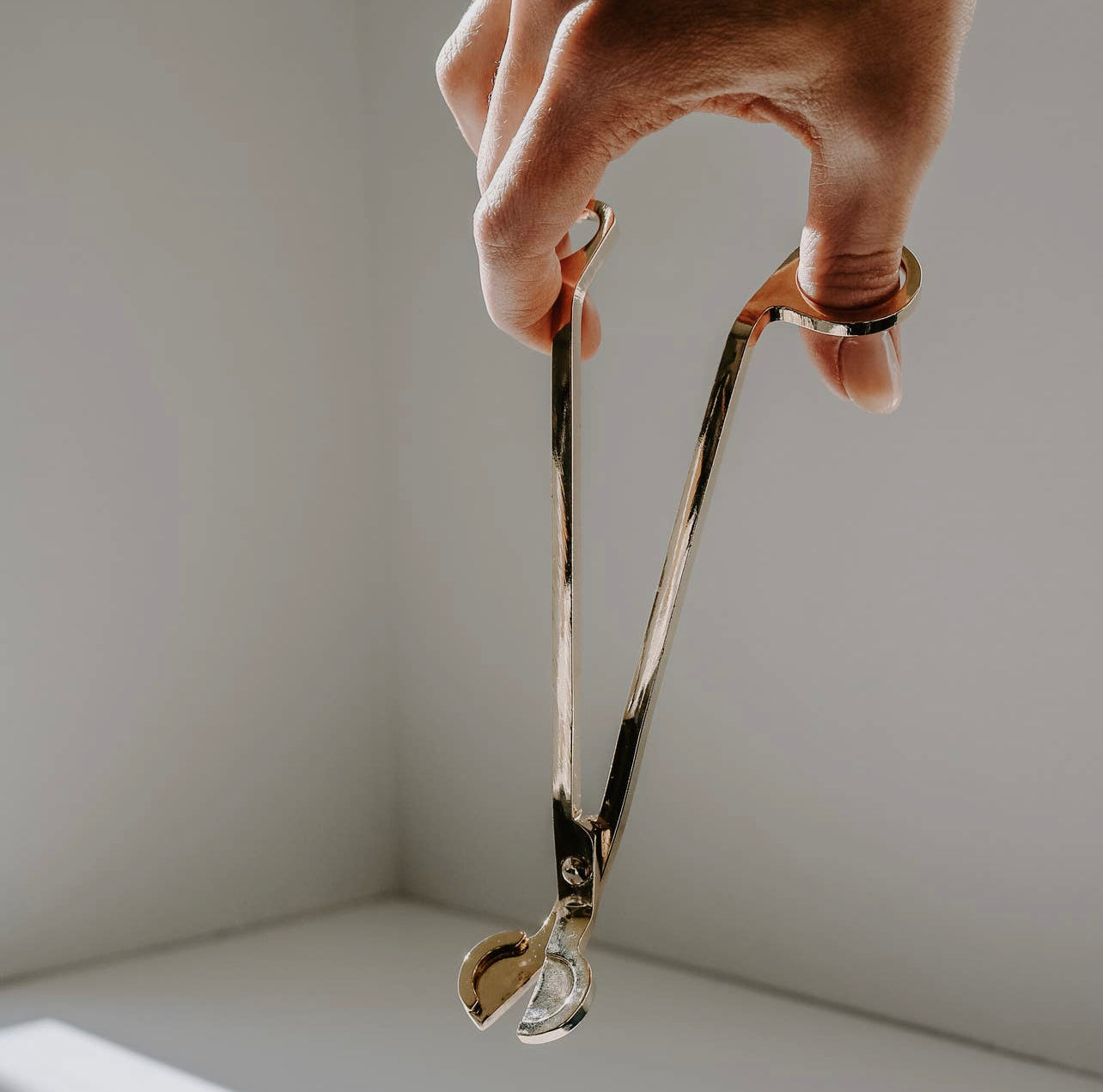 Gold Wick Scissors